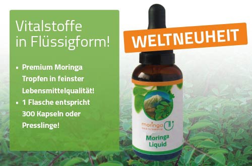 Weltneuheit: Moringa flüssig, 600 Tropfen Weltneuheit: Moringa flüssig, 600 Tropfen